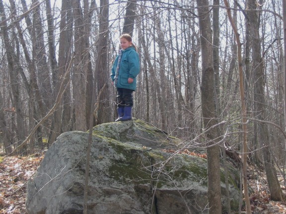 576x432 pixels (107K)